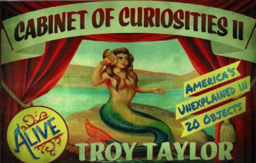Cabinet Of Curiosities 2 image 0